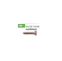 Vite autofilettante 2.5 1.4 6.0 - 9000000005209